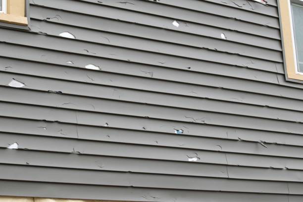 Best Fiber Cement Siding Installation  in Chicago Heights, IL